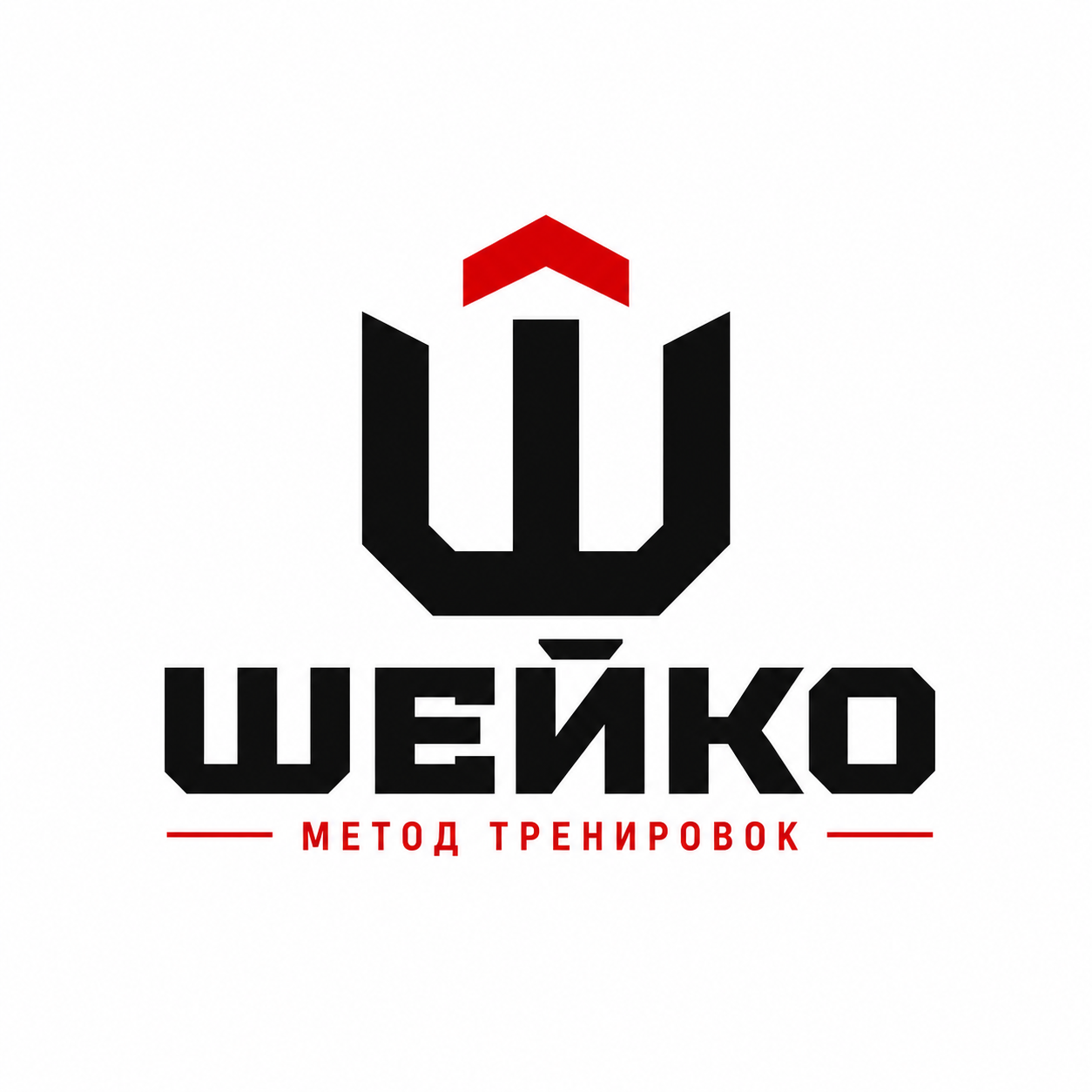 Логотип методики Б. И. Шейко